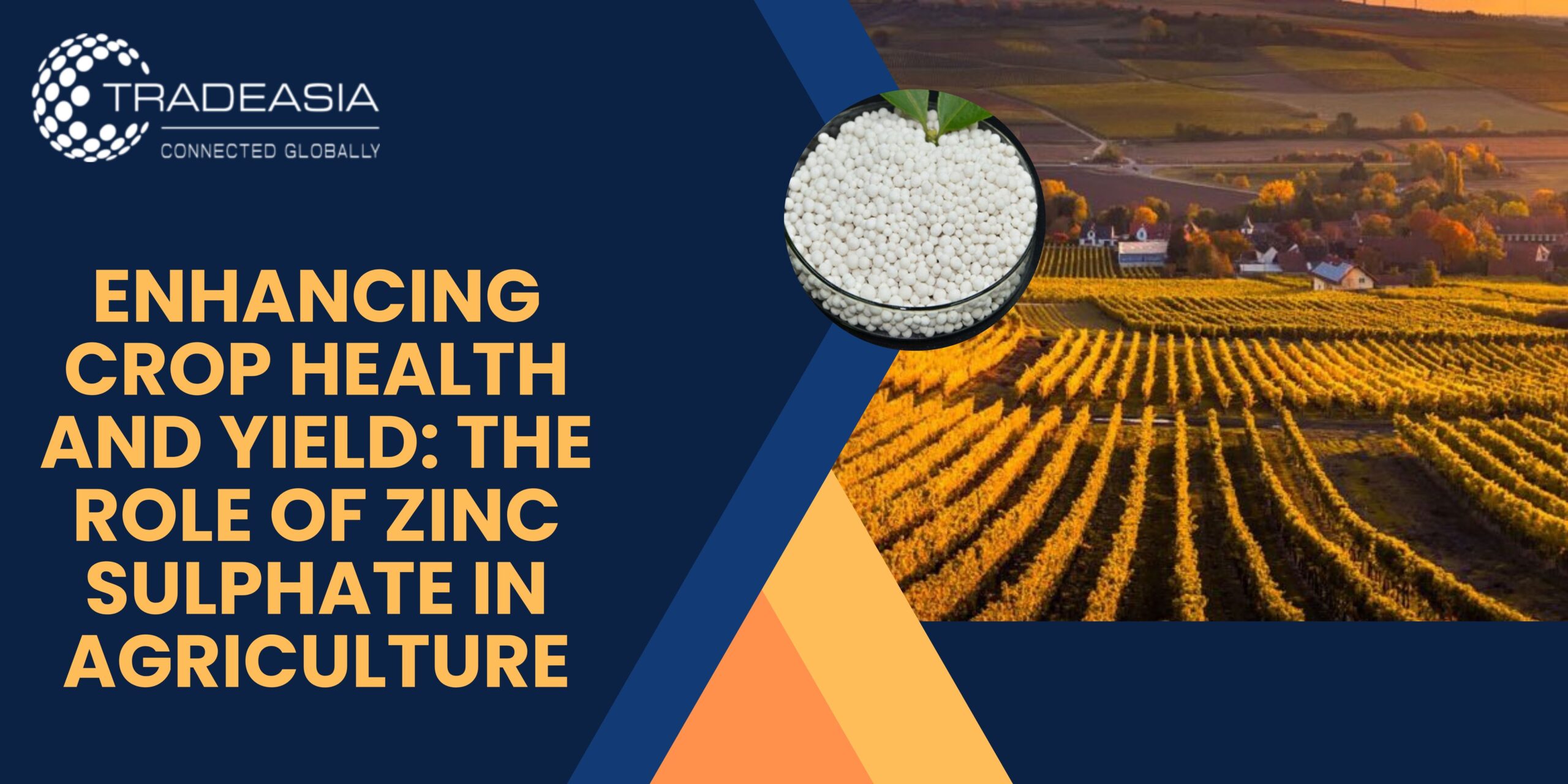 Enhancing Crop Health and Yields The Role of Zinc Sulphate in